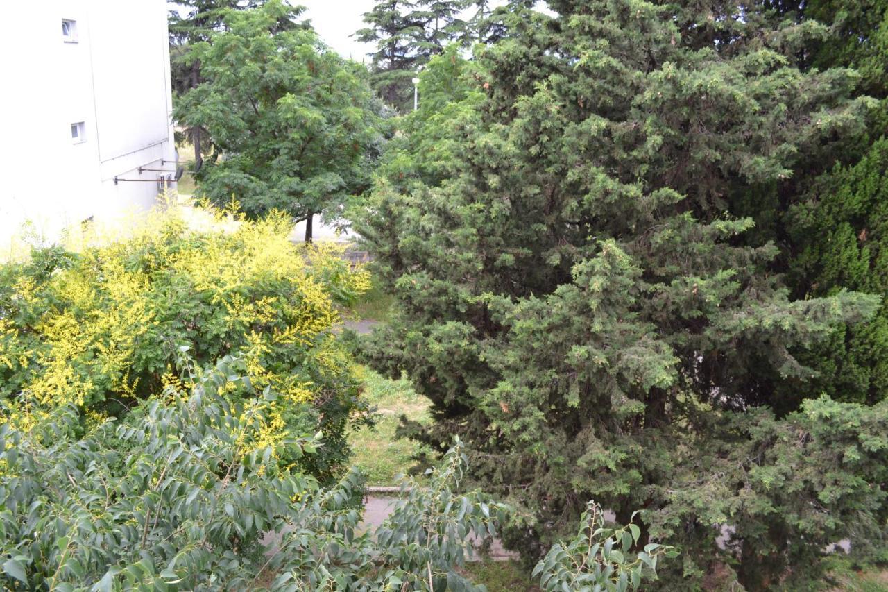 Good Vibes Apartment Задар Екстер'єр фото
